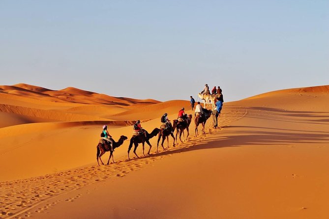 8 - Day Morocco Tour from Casablanca via Chefchaouen & Desert - What the $2,293.87 price buys you