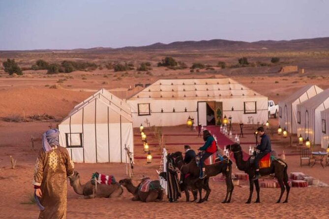 8 Days Morocco Private Tour; Imperial Cities and the Desert - Fes, where the old city becomes the day’s main event