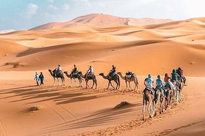 8D Morocco Luxury Private Tour From Casablanca By Imperial Cities - Day 4: Cedar forests, the Ziz Valley, and Erg Chebbi