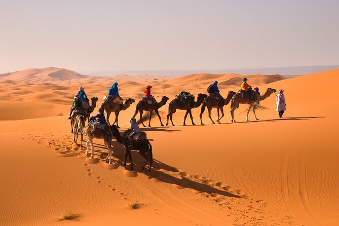 8D Morocco Luxury Private Tour From Casablanca By Imperial Cities - Day 2: Volubilis, Moulay Idriss, and Meknes