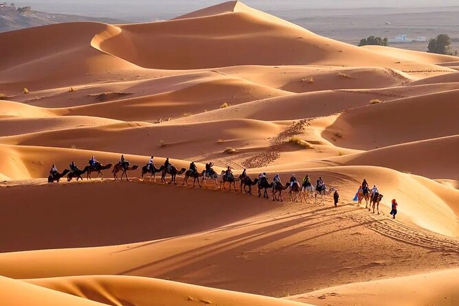 9 Days tour from casablanca to the desert via chefchauen , fez - Fez deserves the fullest city day