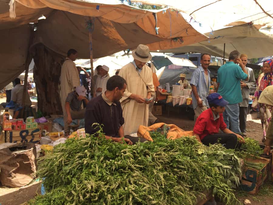 A Day With The Berbers - 3 Valleys Day Trip from Marrakech - Ait Souka and daily Berber life