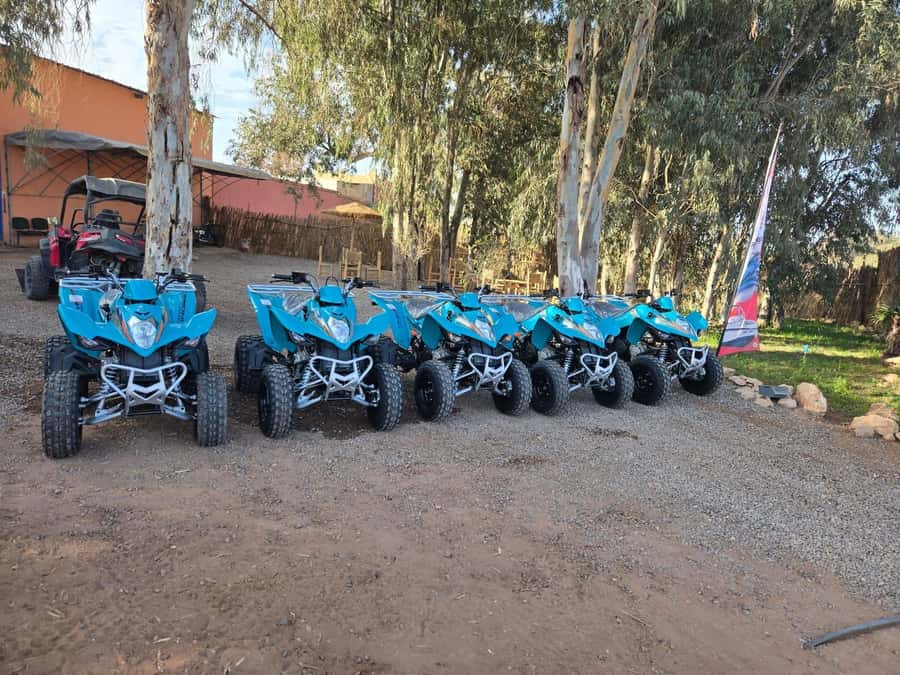 Agadir : 2 h Quad biking excursion with moroccan tea - Two hours across sand, dunes, and village tracks