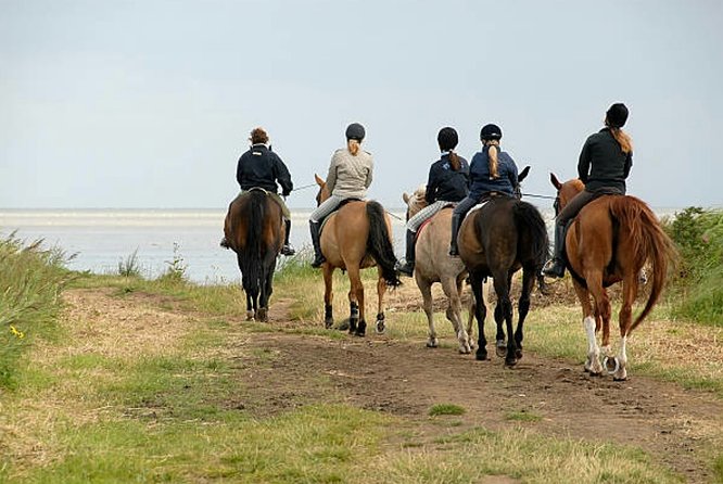 Agadir 2-Hour Horse Riding Experience with Pickup - The guides and the beginner experience