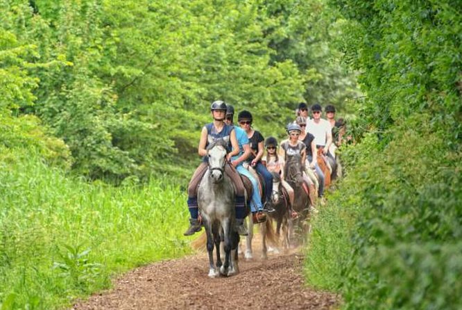 Agadir 2-Hour Horse Riding Experience with Pickup - Is $40.65 a fair price?