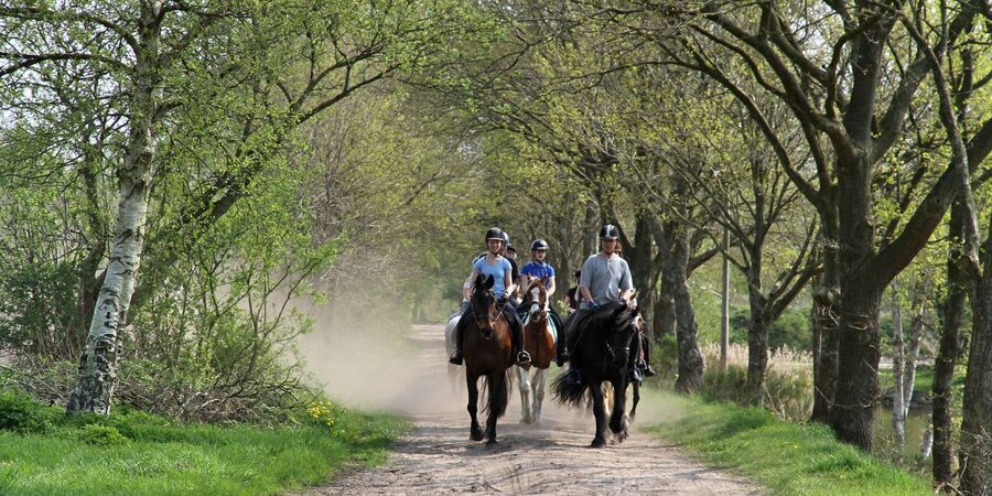 Agadir 2hours Horse Riding visite the flamingo river - How much riding time do you receive?