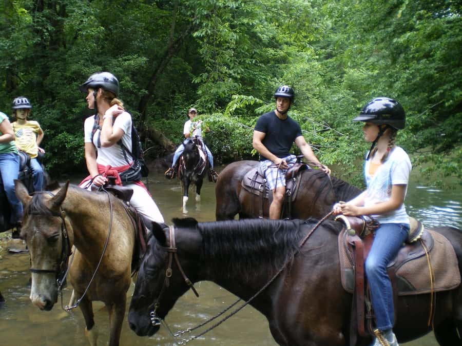 Agadir 2hours Horse Riding visite the flamingo river - Help for children and first-time riders