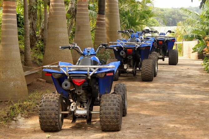 Agadir Adventure Tour with Quad Biking Experience - Who will enjoy this Agadir outing most?