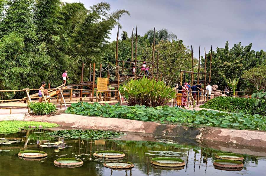 Agadir: Agadir Crocodile Park Adventure - Quick points before you book