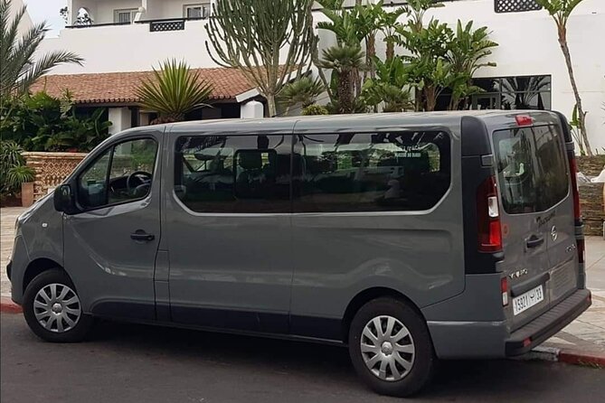 Agadir Airport Private Transfers ( To or from Agadir city center only) - Meeting your driver after landing