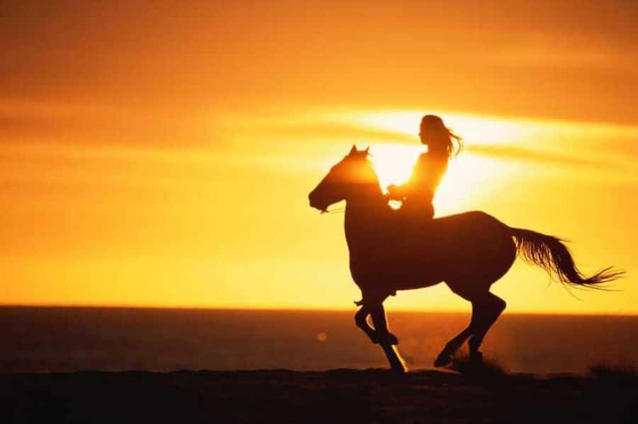 Agadir and Taghazout: 2-Hour Horseback Ride on the Beach - Key points at a glance