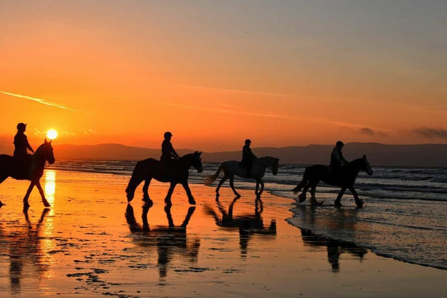 Agadir and Taghazout: 2-Hour Horseback Ride on the Beach - Riding beside the Atlantic for 90 minutes