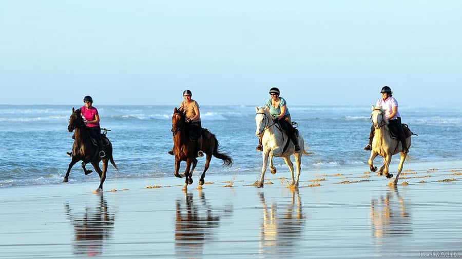 Agadir and Taghazout: 2-Hour Horseback Ride on the Beach - At the ranch, horse matching comes first