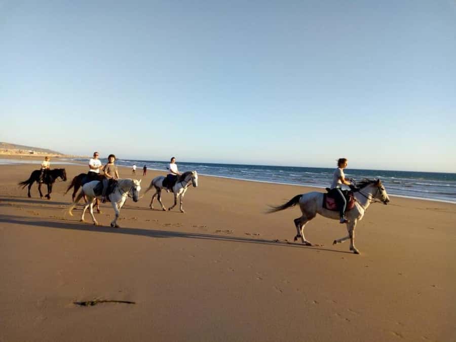 Agadir and Taghazout: 2-Hour Horseback Ride on the Beach - What the beach section feels like