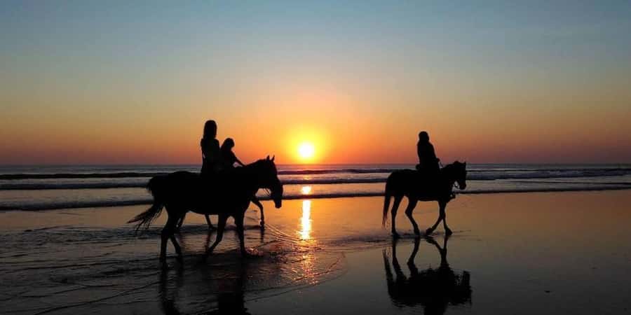 Agadir and Taghazout: 2-Hour Horseback Ride on the Beach - Is $176 per person good value?