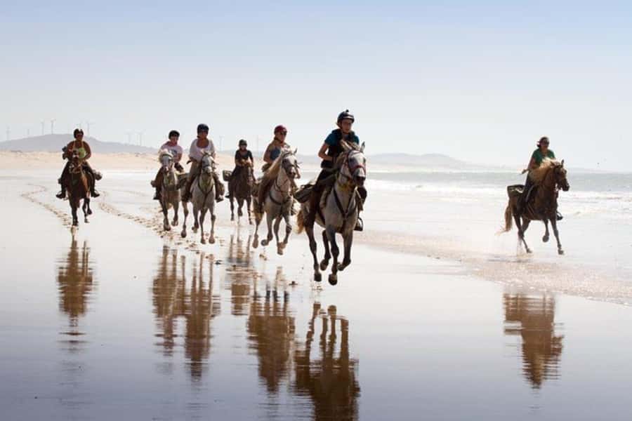 Agadir and Taghazout: 2-Hour Horseback Ride on the Beach - Who will enjoy this ride most?