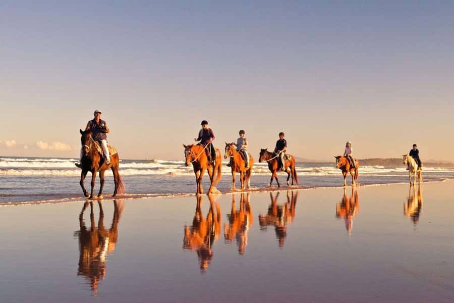 Agadir and Taghazout: 2-Hour Horseback Ride on the Beach - Pickup from Agadir, Taghazout, Tamraght, or Anza