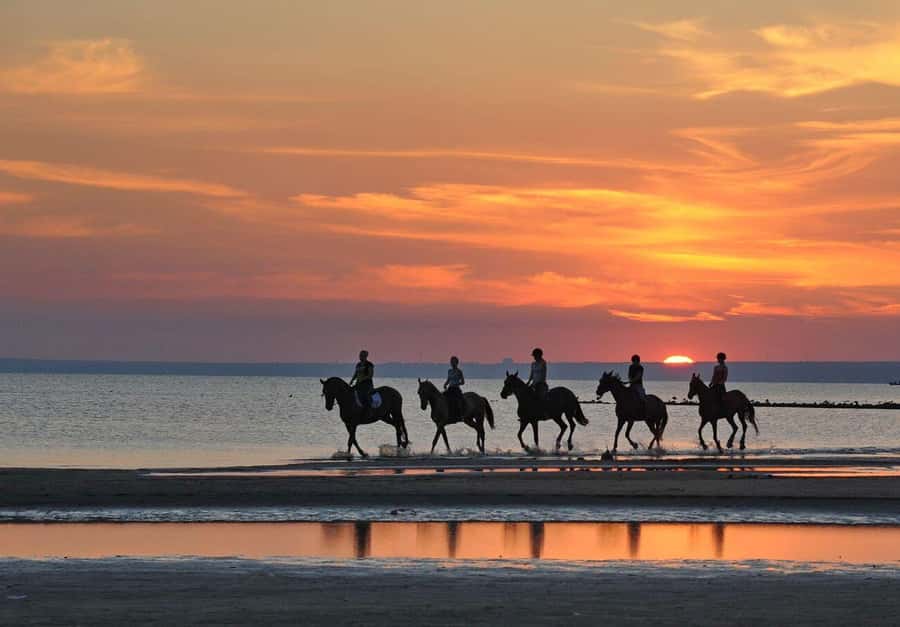 Agadir and Taghazout: Morning Horse Ride on The Beach - From hotel pickup to the ranch