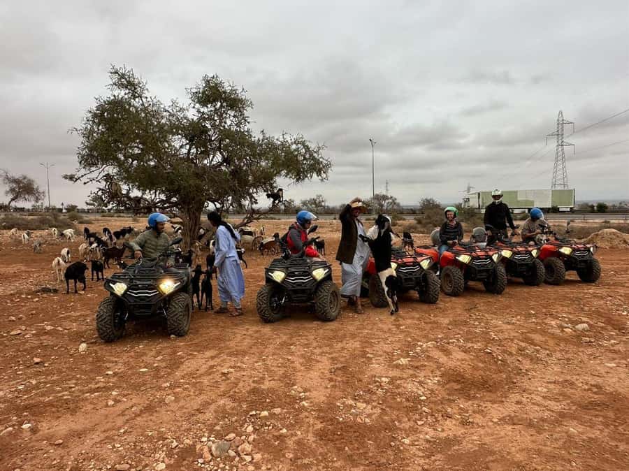 Agadir: ATV Quad Biking and Goats On Argan Trees with Tea - Should you book this ATV and goat experience?