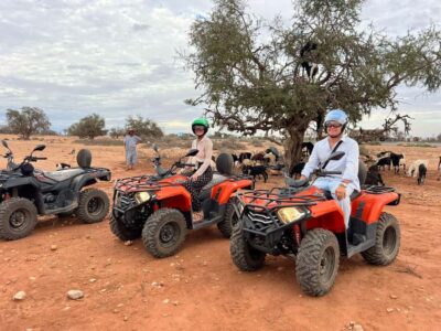 ATV Quad Biking and Goats On Argan Trees with Tea