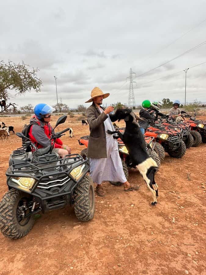 Agadir: ATV Quad Biking and Goats On Argan Trees with Tea - Who will enjoy this Agadir quad trip most