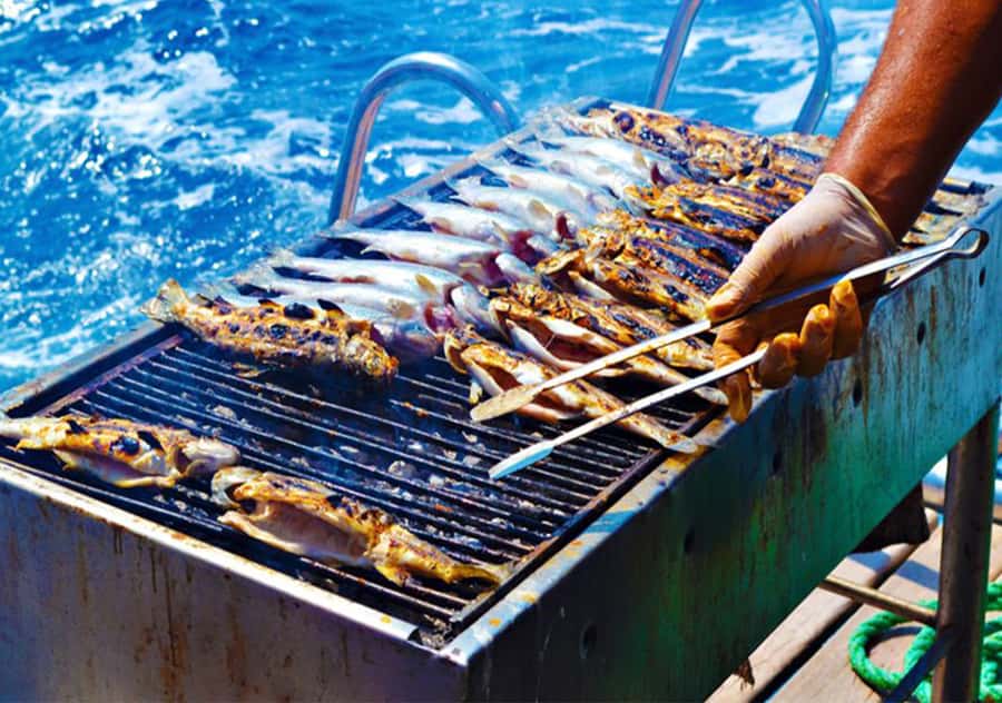 Agadir: Boat Trip with Fishing, Swimming, and BBQ Lunch - My Take: Book It If You Want a Relaxed Coastal Day