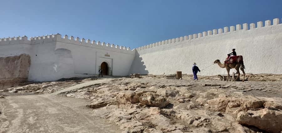 Agadir: Cable Car Ticket and Guided City Tour - Booking details that matter