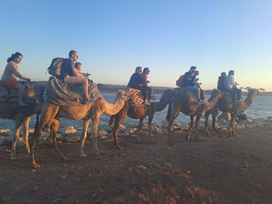 Agadir: Camel or Horse Ride + BBQ & Transfer Sunset Optional - Choosing between 10:00, 15:00, and 17:00