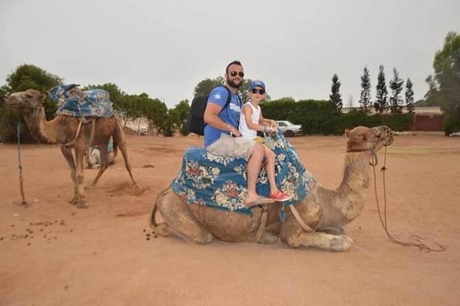 Agadir Camel Ride Experience - Who will enjoy this camel ride?