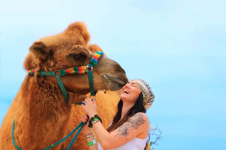 Agadir: Camel Ride Experience With Dinner Option - What the camel ride is really like