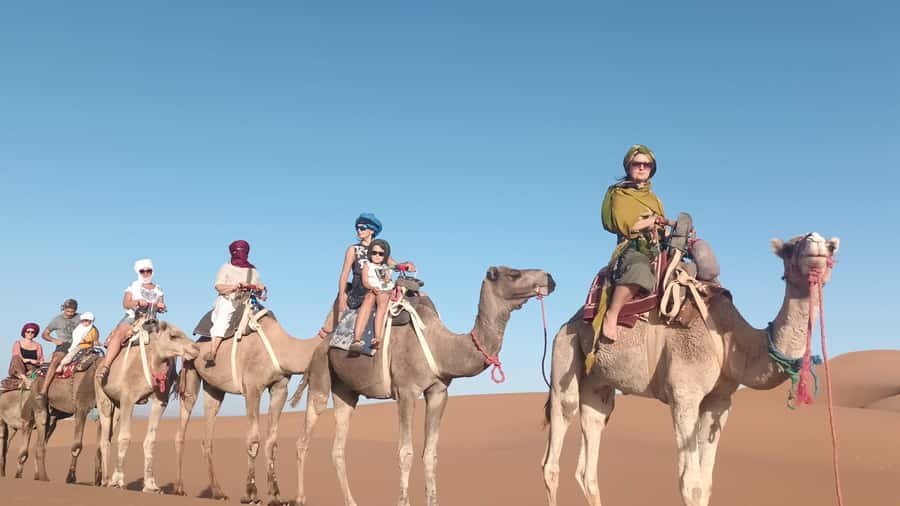 Agadir: Camel Ride Experience With Dinner Option - Why the Souss River section matters