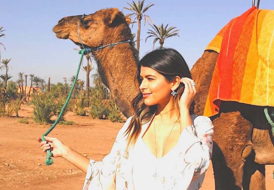 Agadir: Camel Ride Experience With Dinner Option - Sunset timing needs careful checking