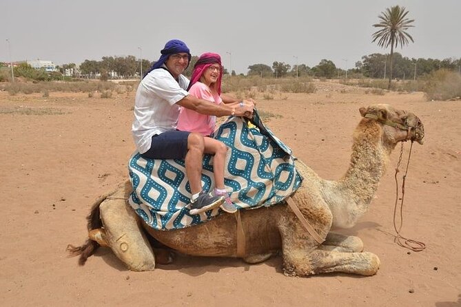 Agadir Camel Ride Experience - Eucalyptus trees and the open countryside