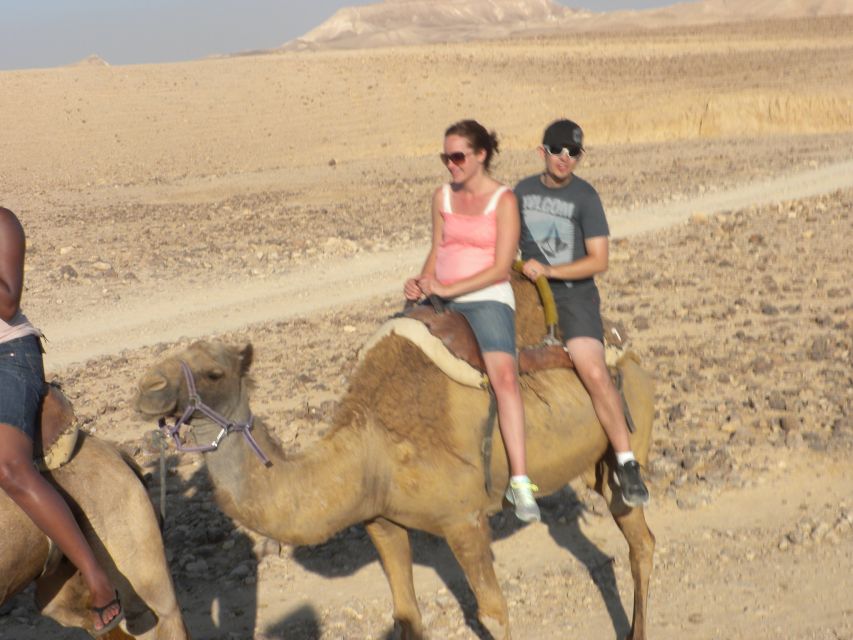 Agadir Camel Ride Flamingo River & BBQ Dinner - Language, timing, and booking flexibility