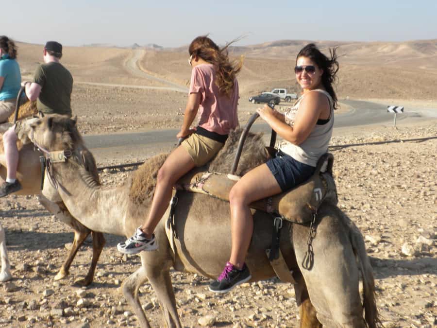 Agadir Camel Ride Flamingo River & BBQ Dinner - Leaving Agadir for the Sous-Massa countryside