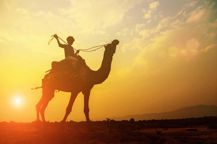Agadir: Camel Ride With Tea - Leaving Agadir for the Souss River