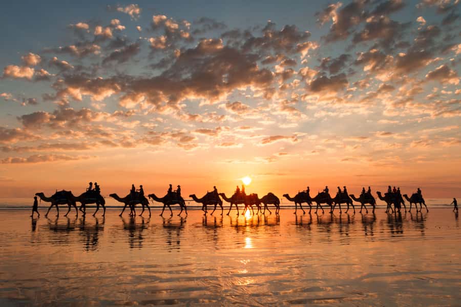 Agadir: Camel Ride With Tea - Riding through eucalyptus trees beside the river