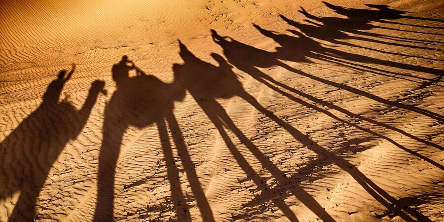 Agadir: Camel Ride With Tea - Moroccan mint tea and snacks at the ranch