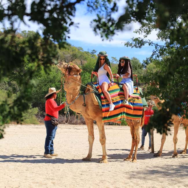 Agadir: Camel Ride With Tea & BBQ Dinner Option - Key details before you book