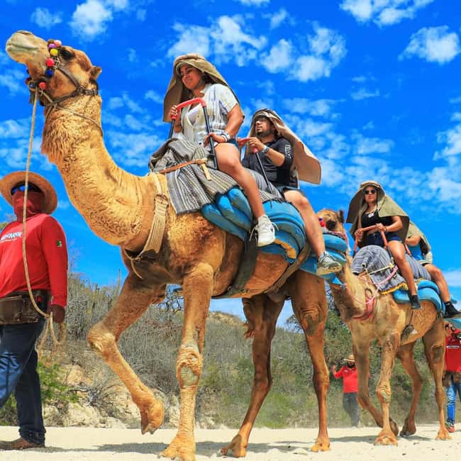 Agadir: Camel Ride With Tea & BBQ Dinner Option - Leaving Agadir for the Souss countryside