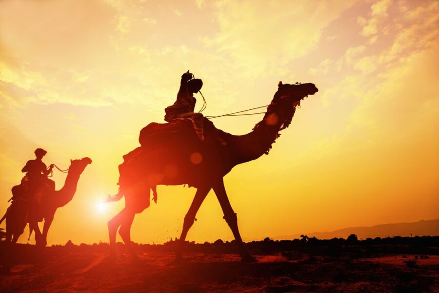 Agadir: Camel Ride With Tea & BBQ Dinner Option - What makes the price good value