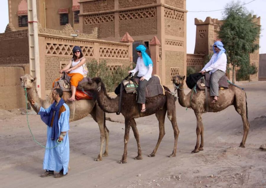 Agadir: Camel Ride With Tea & BBQ Dinner Option - What the camel ride is really like
