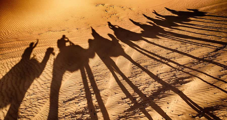 Agadir: Camel Ride With Tea - Choosing your camel and settling into the saddle