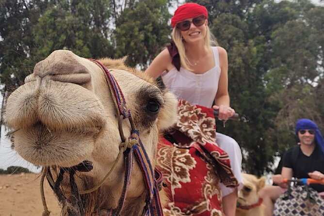 Agadir Camel Rides with Tea Drink & cakes - Key things to know before you book