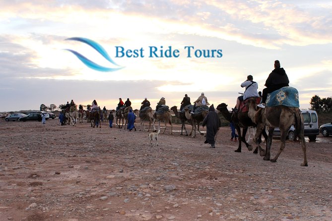 Agadir Camel Riding - Key points to know before you book