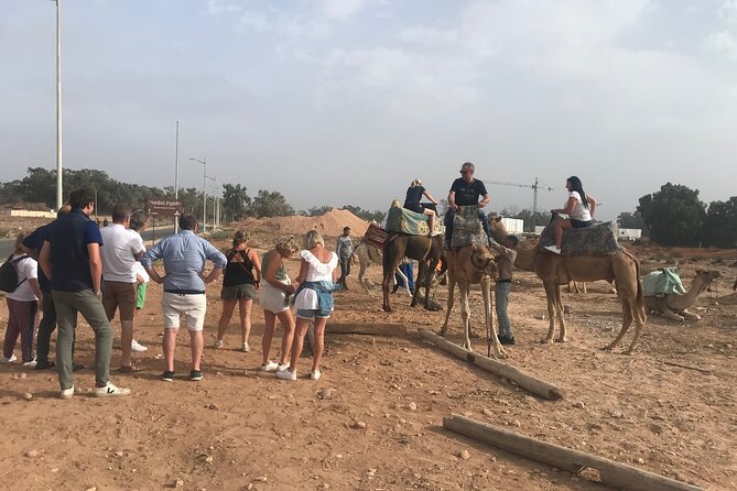 Agadir Camel Riding - Reaching the Oued Souss and bird area