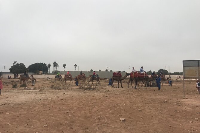 Agadir Camel Riding - What the guides add to the ride