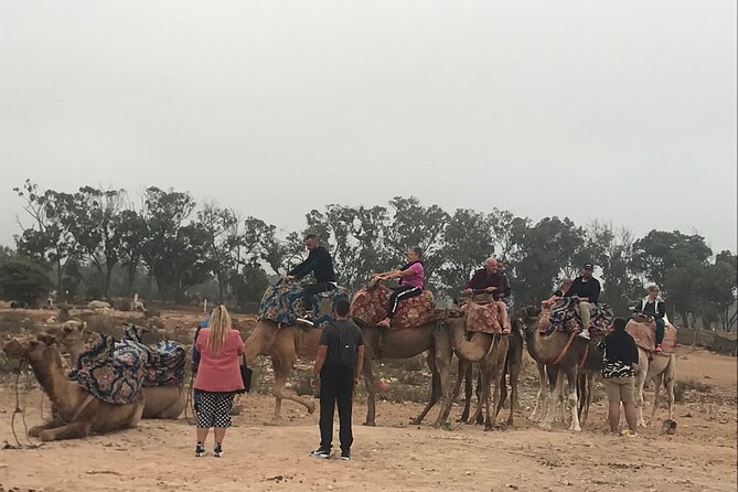 Agadir Camel Riding - Clothing, comfort, and safety advice