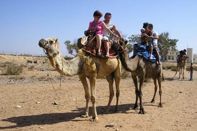 Agadir Camel Riding +Sunset and Dinner( barbecue) - Who will enjoy this most?