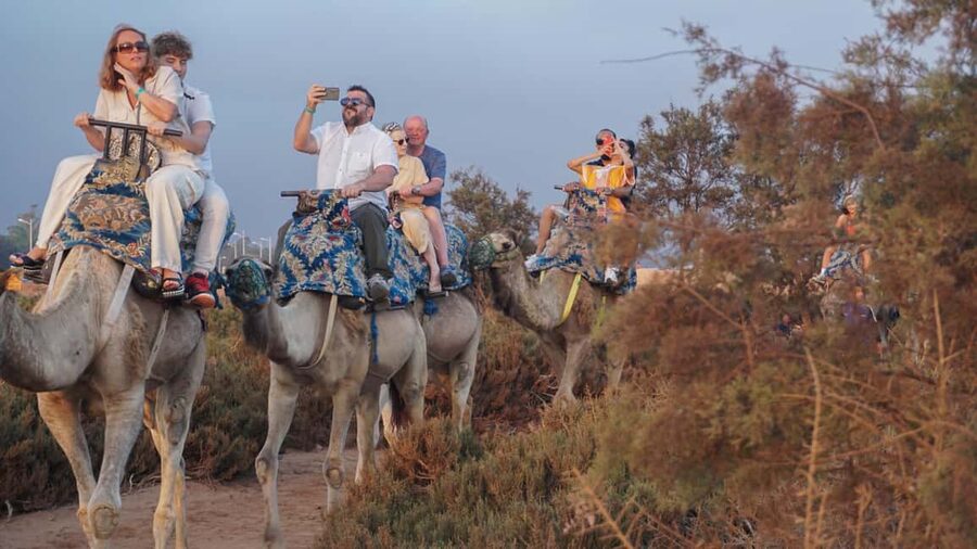 Agadir: Camel Riding Tour with Tea Drink - Key points before you book